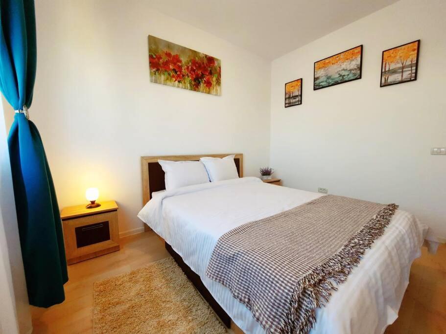 Beautiful Panoramic Central Apartment - City Of Mara Timisoara Exterior photo