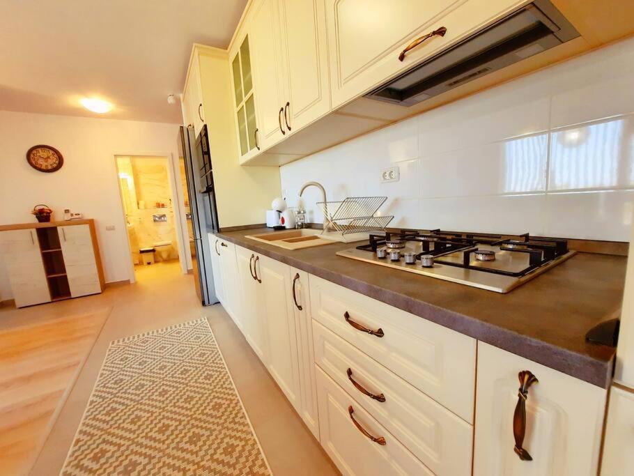Beautiful Panoramic Central Apartment - City Of Mara Timisoara Exterior photo